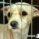 서울시 야생동물 구조관리센터 이미지