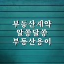 원마을현대공인중개사사무소 이미지