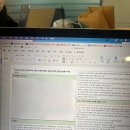 (주)코리아세븐 이대1호점 | 공든 오월 셋째 주 I 영원은 그렇듯 거짓이겠죠