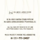 에스클래스성형외과의원 이미지