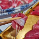 수초밥참치 | 수원스타필드 팝업 참치학교 | 기름기 가득했던 참치뱃살 참치초밥 내돈내산 후기