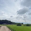 금곡리 경로당 이미지