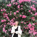 미니스톱 한강양화2점 이미지