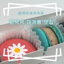 레디앙마카롱