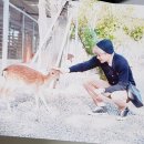 송보농장 이미지