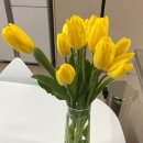 예원농장 이미지