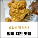 처갓집 양념치킨 범계점 | 안양 평촌 범계 반반 치킨 강추
