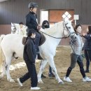 승마 강습비 최대 100% 지원…‘2026 하반기 힐링승마’ 참가자 모집 이미지