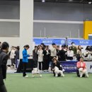 구미펫직업훈련학원 이미지