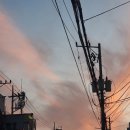 UR(오산시)-[운천로]-하-11 | 현대인은 가끔 고개를 들어 하늘을 봐야한다.