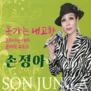 손정아 - 못가는 내고향 & 혼자사는 여자 & 콜라텍 부르스 이미지