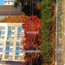 연아공인중개사사무소 이미지