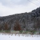 서종체육공원 이미지