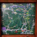 축령산 산소길(2구간) 티스토리