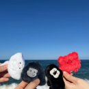 회산장칼국수 이미지