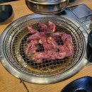 신기숯불갈매기 이미지