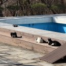 11500-5-23-06 | 겨울 국내여행지로 추천하는 제천 숙소 수페23 스파 06