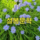 설봉문인협회 / 설봉문학 2024년 2월 2주 금주의 시 선정 / 봄바람 불기에 / 유영서 이미지