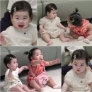 박수홍 카카오 검색결과