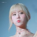 백하 Daum카페