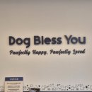 독 블레스 유 이미지