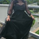 보니소네트 이미지