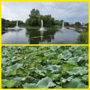 평택호정원 이미지