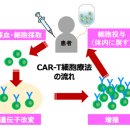 CAR-T세포가 혈약암 완치 가능 이미지