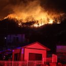 '재난의 정치화'에 나선 극우 국민의힘과 황색 언론 이미지