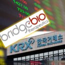 유한회사 브릿지 네이버블로그