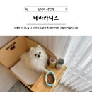 퓨어펫(pure pet) | [강아지 습식사료] 반려견 건강자연식 테라카니스(하이포알러젠/퓨어미트 비교)