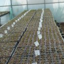 샘골목장 이미지