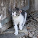 양주동물병원 이미지