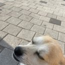 상림각 이미지