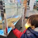 광성약국 이미지