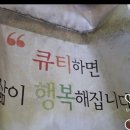 귀여운게최고야