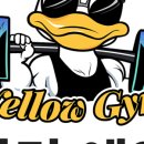 옐로우짐 반고개점 이미지