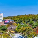 출렁다리(2) 이미지