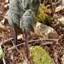 애지농장 이미지