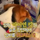 위로