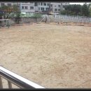 대전송촌초등학교 이미지