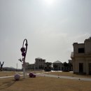 오션동물병원 | [진도_쏠비치 진도 리조트] 스위트 펫 프렌들리 스위트 파셜오션뷰 취사 펫룸