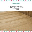 디앤 이미지