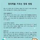 1월 부모교육 - 창의력을 키우는 양육방법 이미지