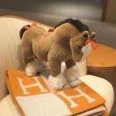 세모수학 이미지