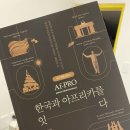 디앤피아프리카