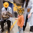 사이언스 골프랩 | [키즈카페/내돈내산] 의왕 ‘디스커버스’ 방문기