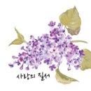 나의 행복을 위한 가족세우기 이미지