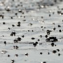 전라남도청 이미지