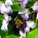 만물상회 이미지